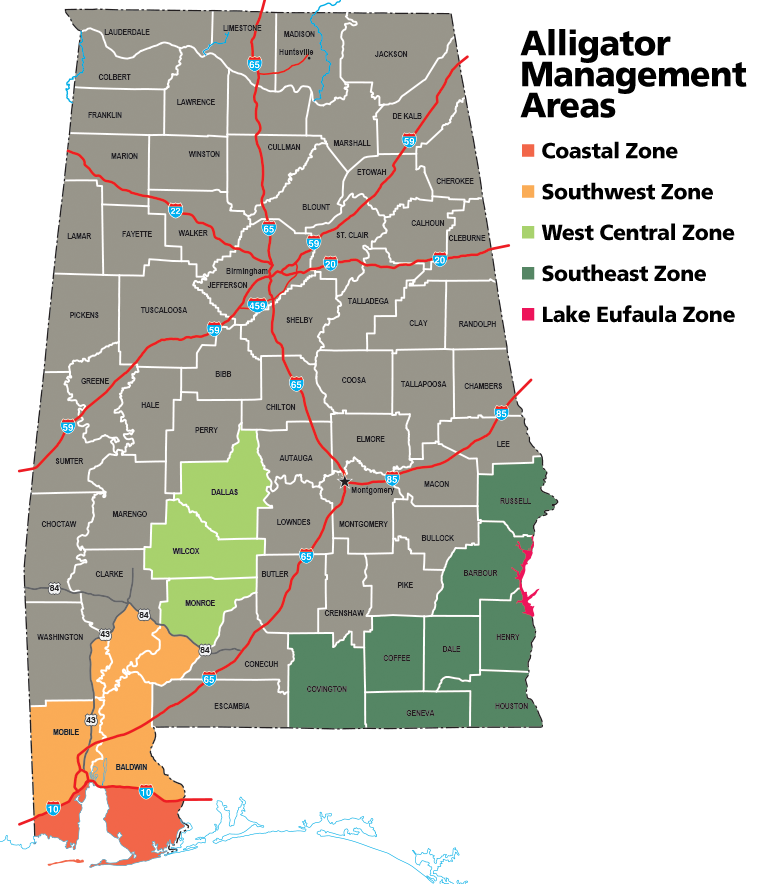 Alligator Season Outdoor Alabama